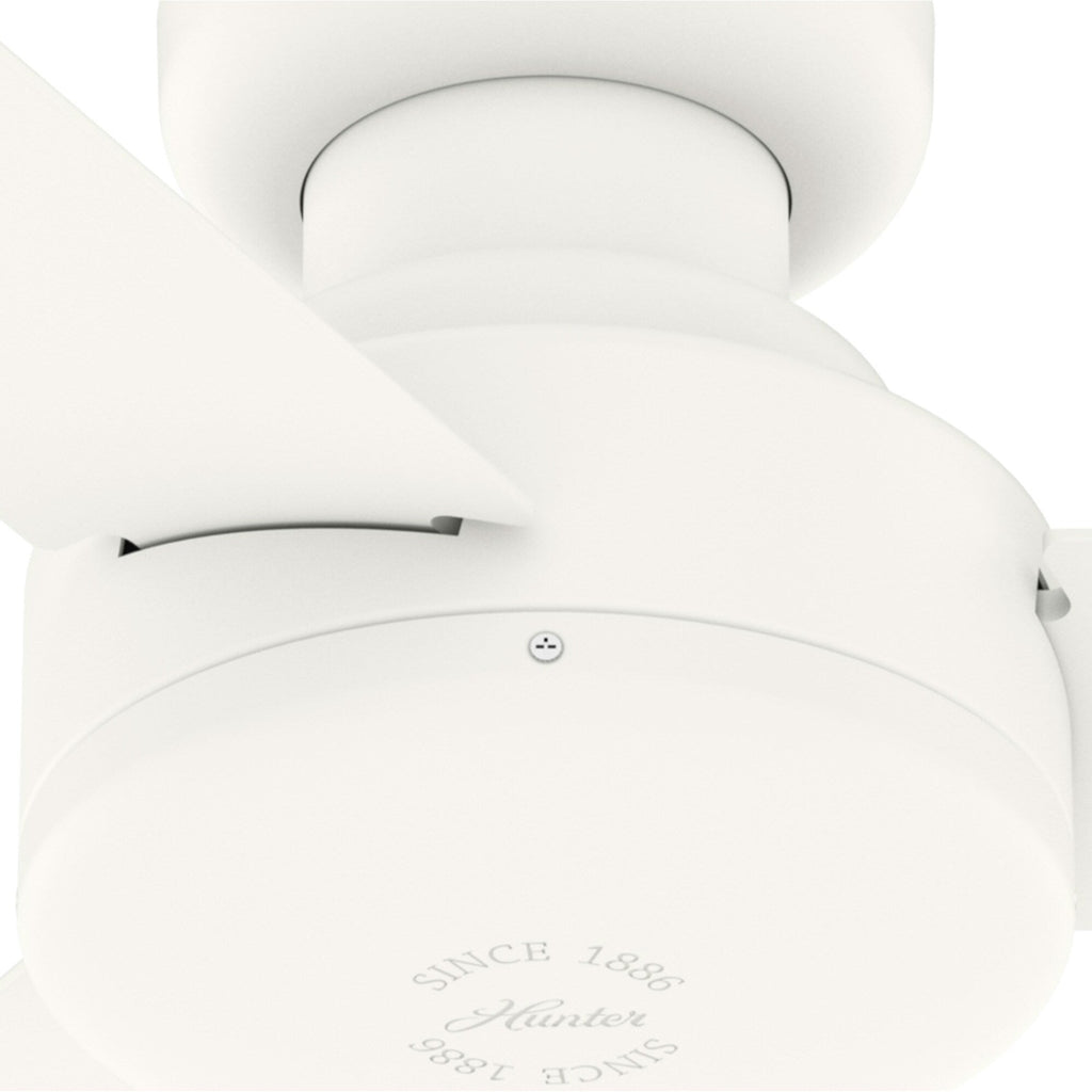 Pergola extérieure en acier de 3 m x 4 m, tonnelle avec trous de drainage pour terrasse, piscine et jardin.