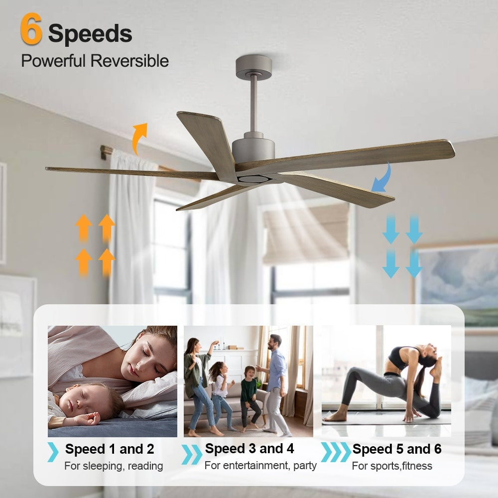 Ventilateur de plafond intérieur WINGBO 54 pouces à moteur CC sans éclairage - Non disponible